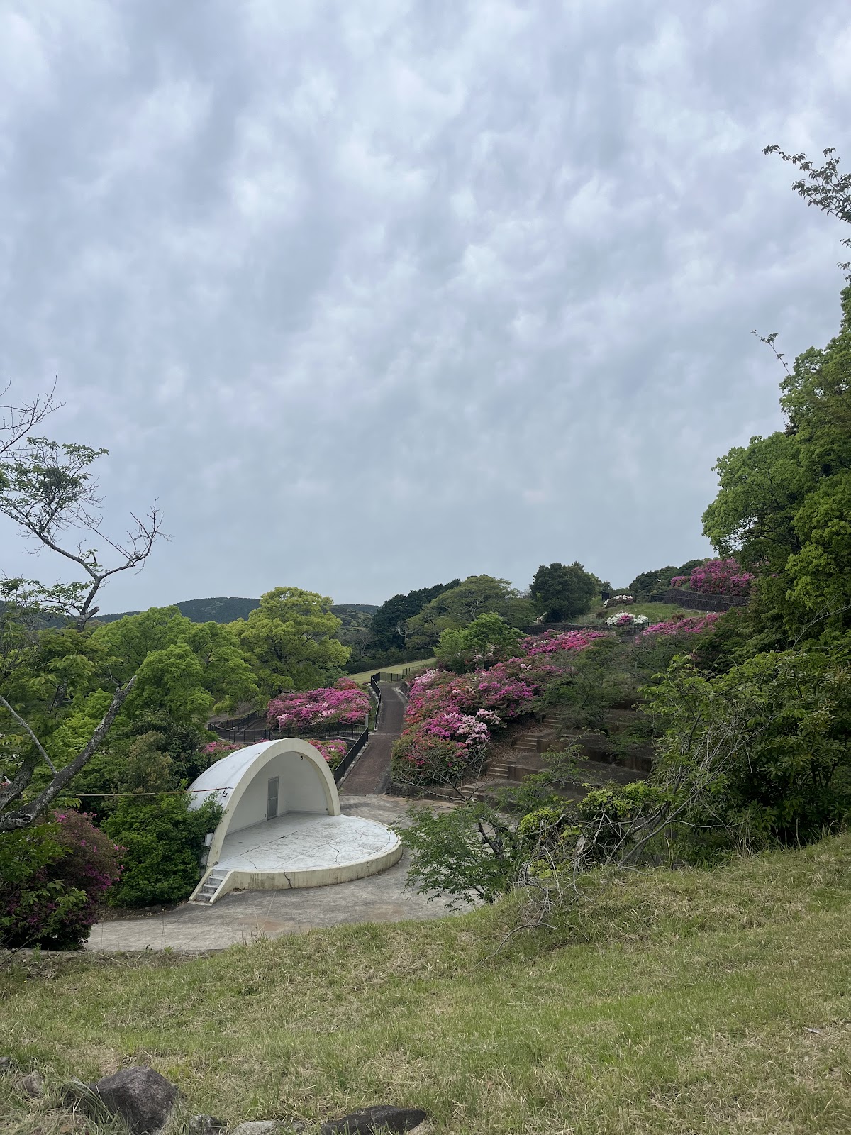 稲佐山公園 ドッグランの実際の写真