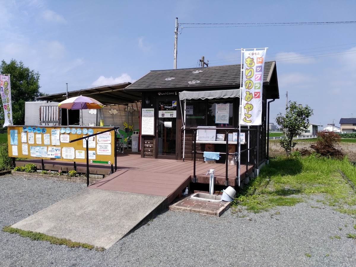 くまもとドッグランもりのみやこの実際の写真