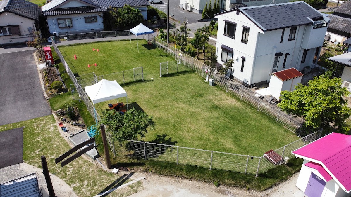 TeoOne(テオワン)熊本ドッグランの実際の写真