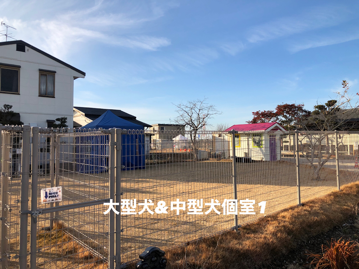 TeoOne(テオワン)熊本ドッグランの実際の写真