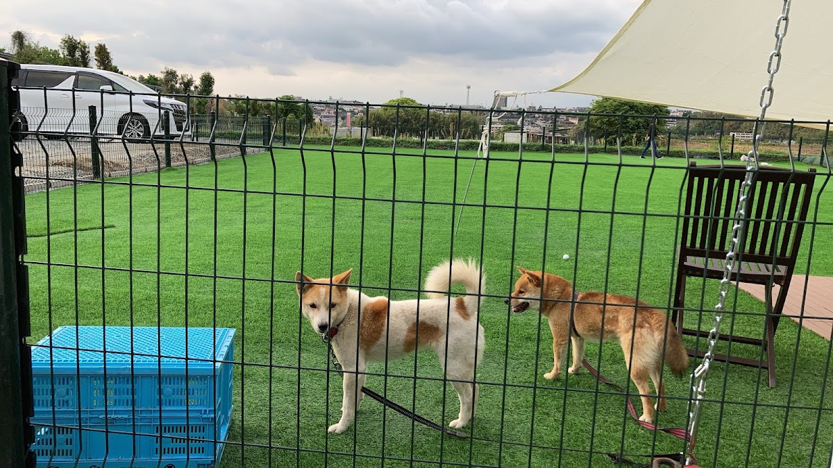 ニコポチ&クゥーの里(ドッグラン)の実際の写真