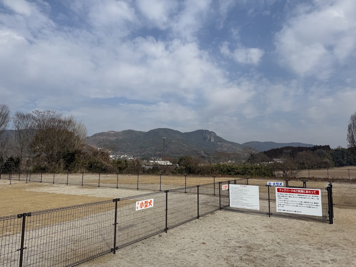 熊本ドッグラン さんろくの実際の写真