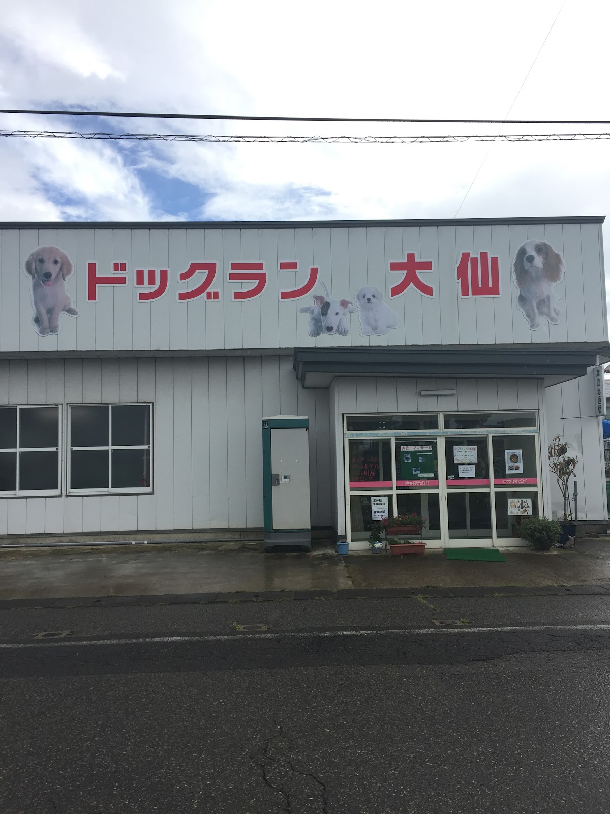 ドッグラン大仙の実際の写真