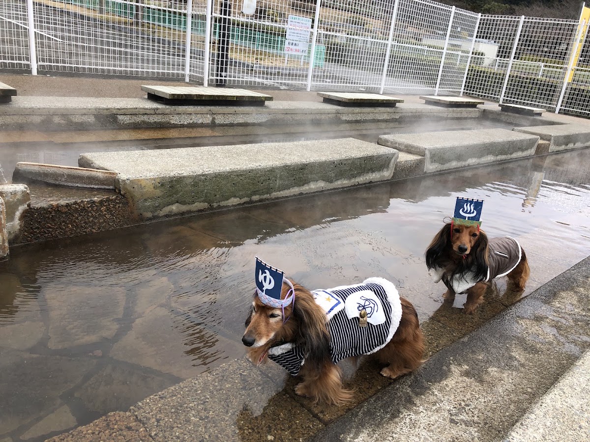 別府市営ドッグランの実際の写真