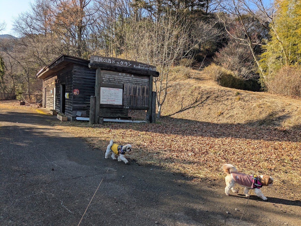 丸塚広場ドッグランの実際の写真