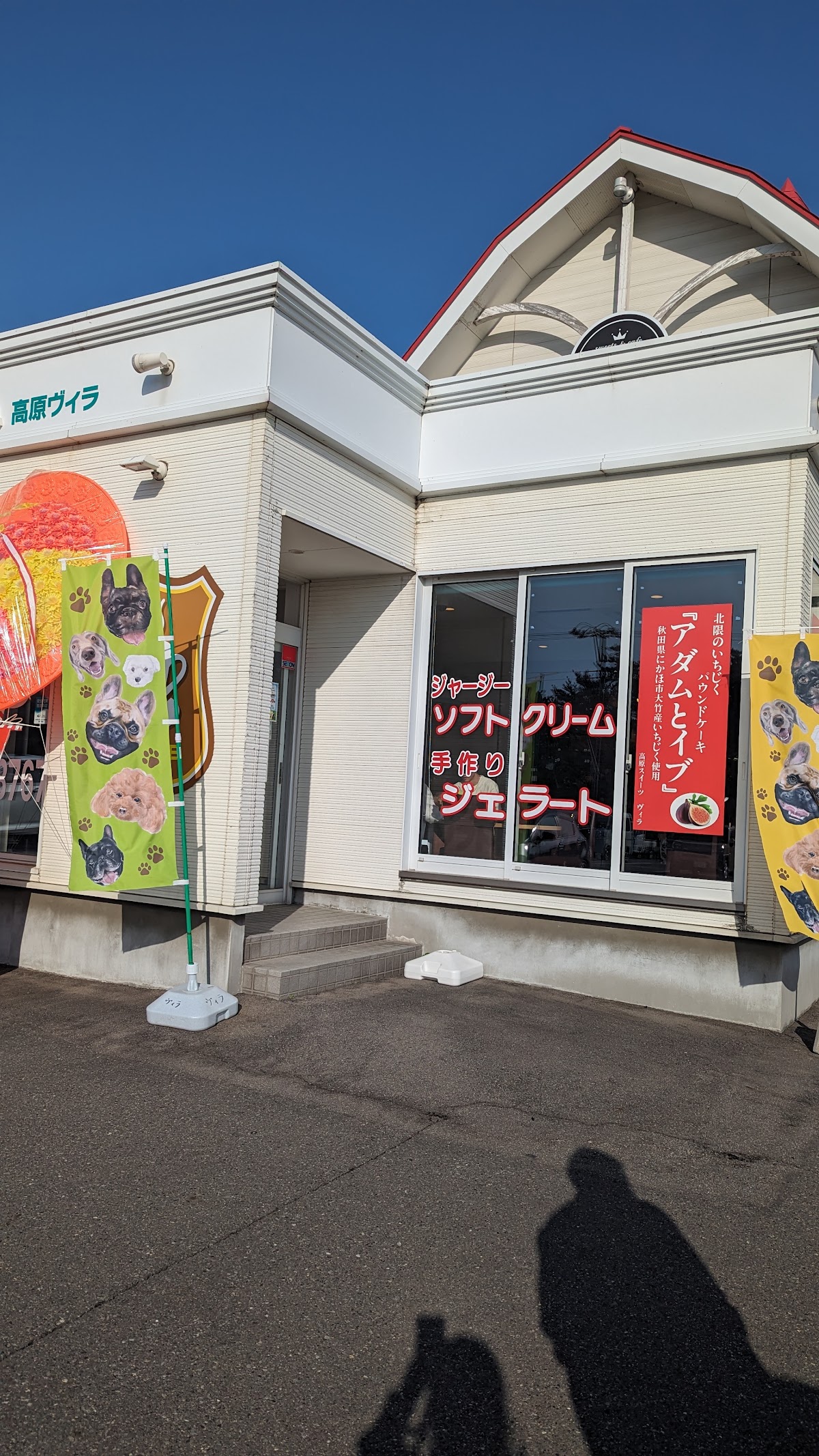 DOG WAGの実際の写真