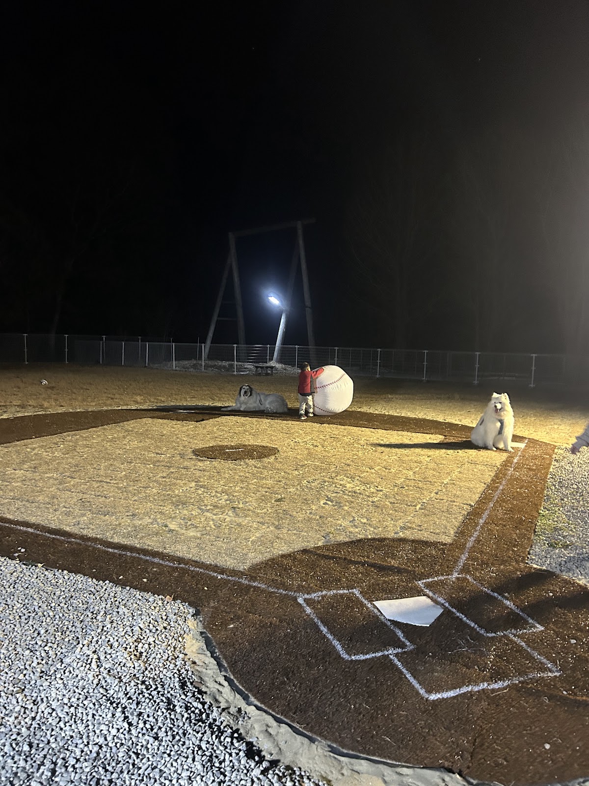 ドッグラン ハクベースタジアムの実際の写真