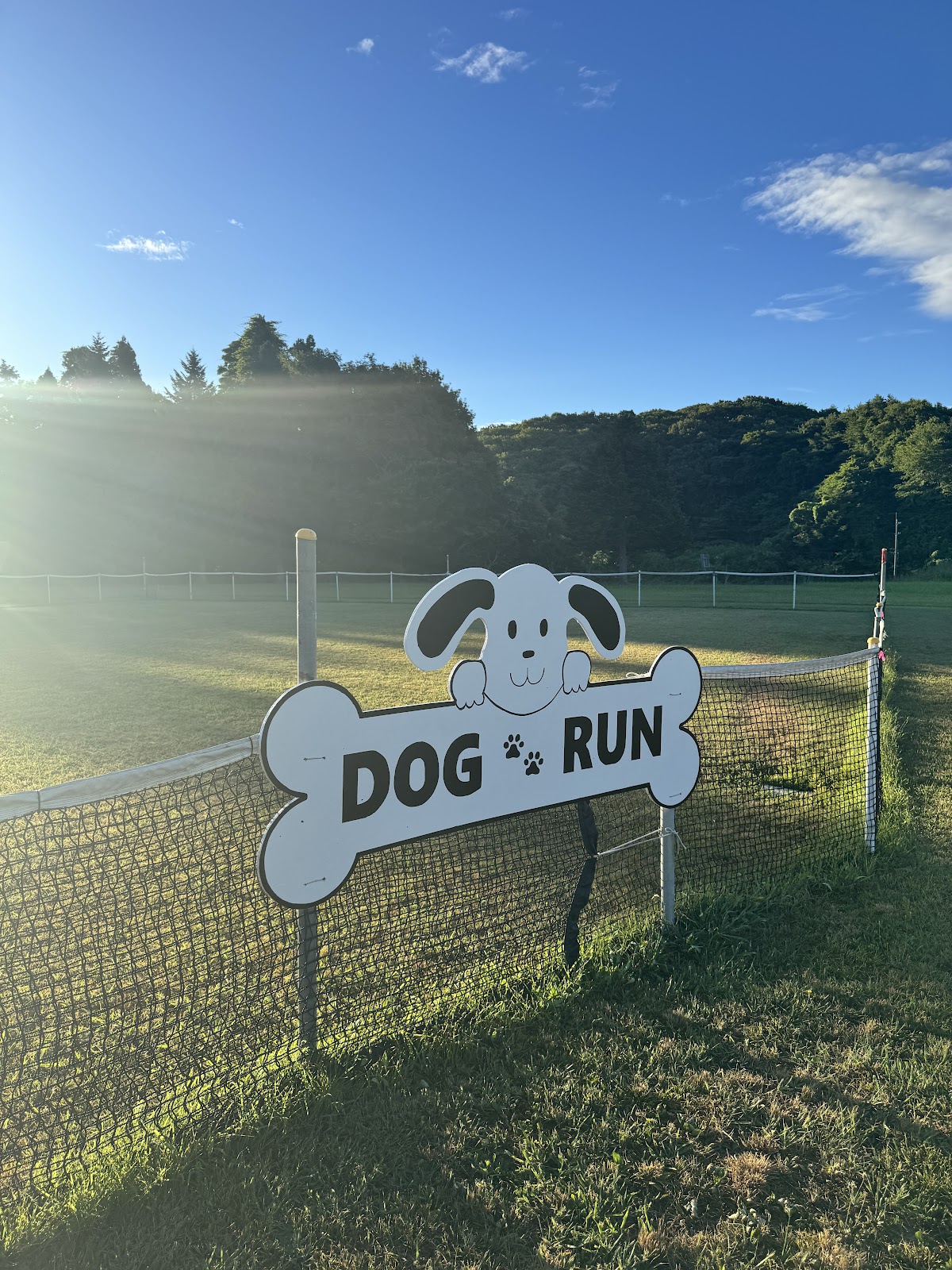 県立中央公園ファミリーピクニックゾーン芝生広場ドッグラン