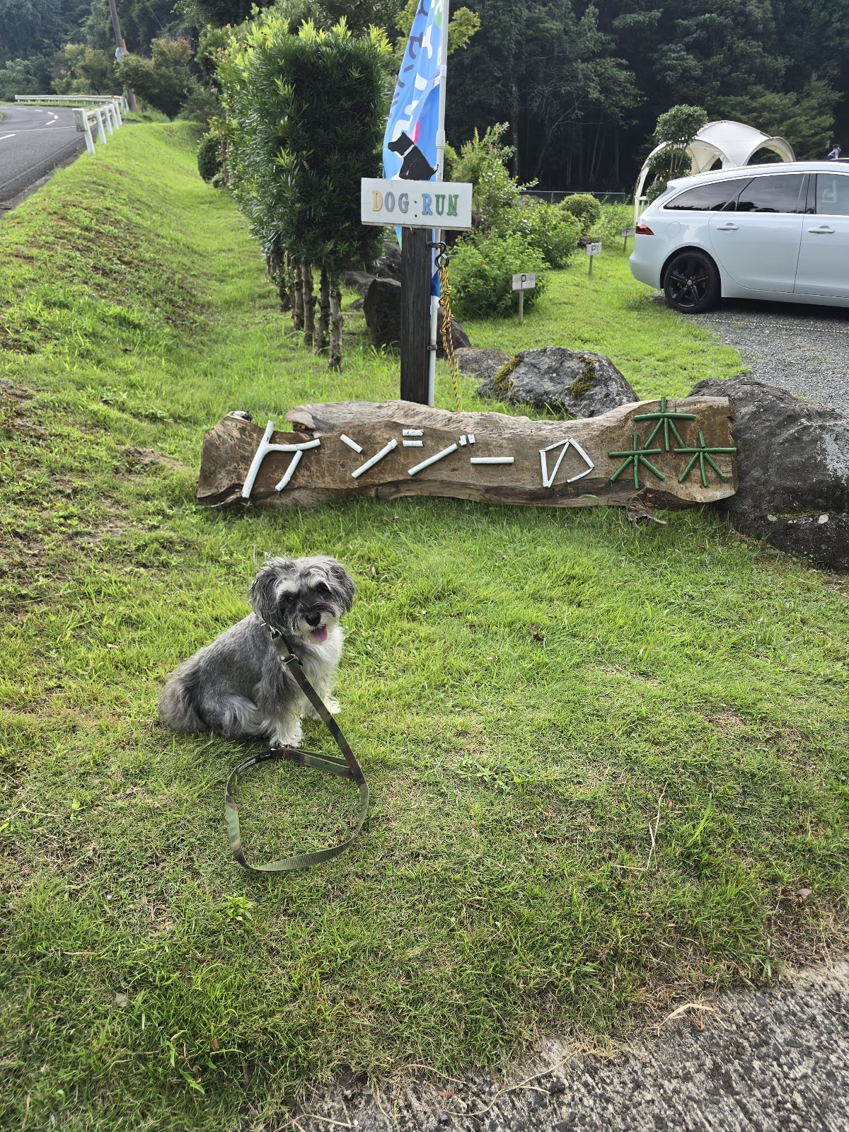 ケンジーの森 キャンプ場&ドッグランの実際の写真