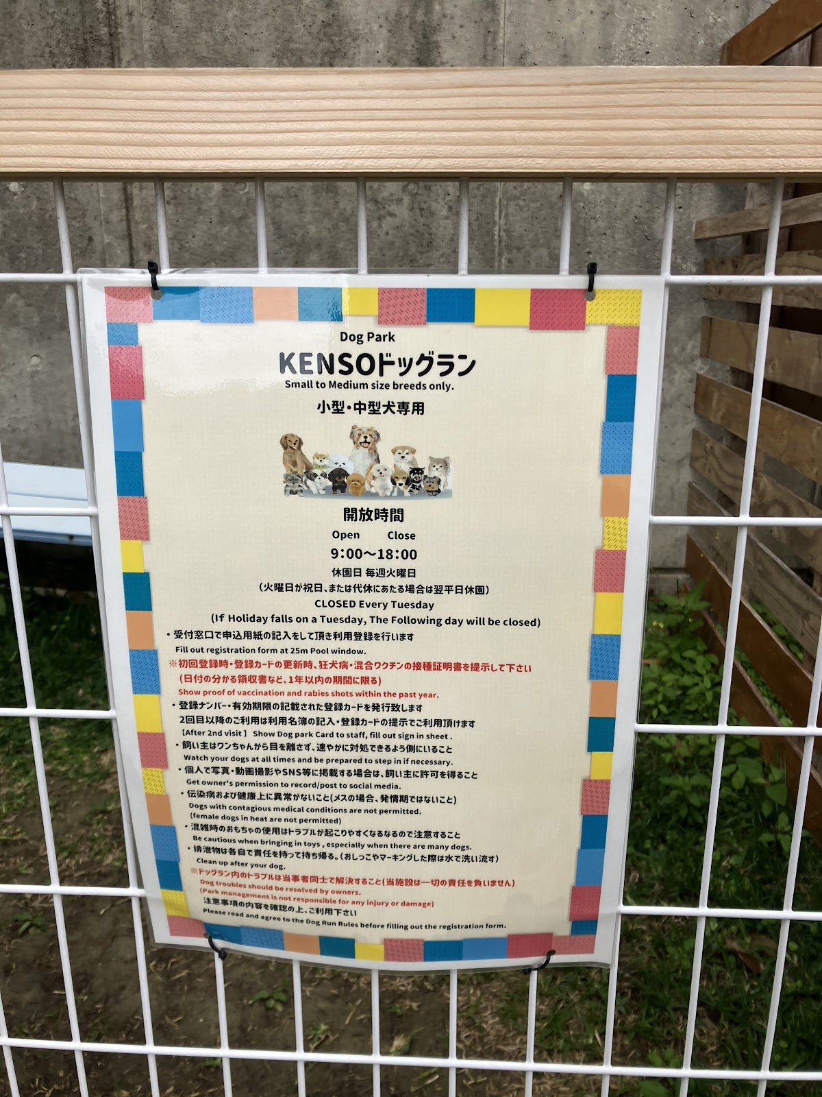 KENSOドッグランの実際の写真