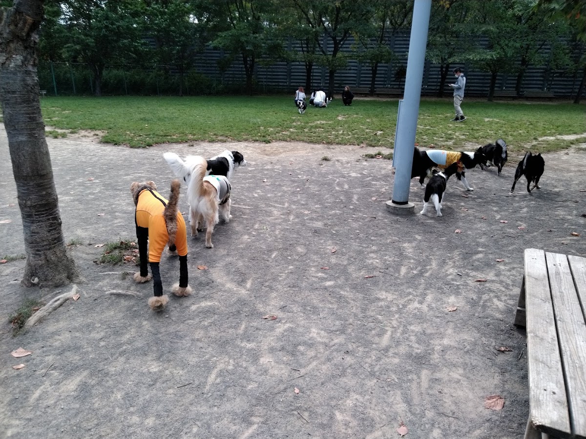 樽川公園