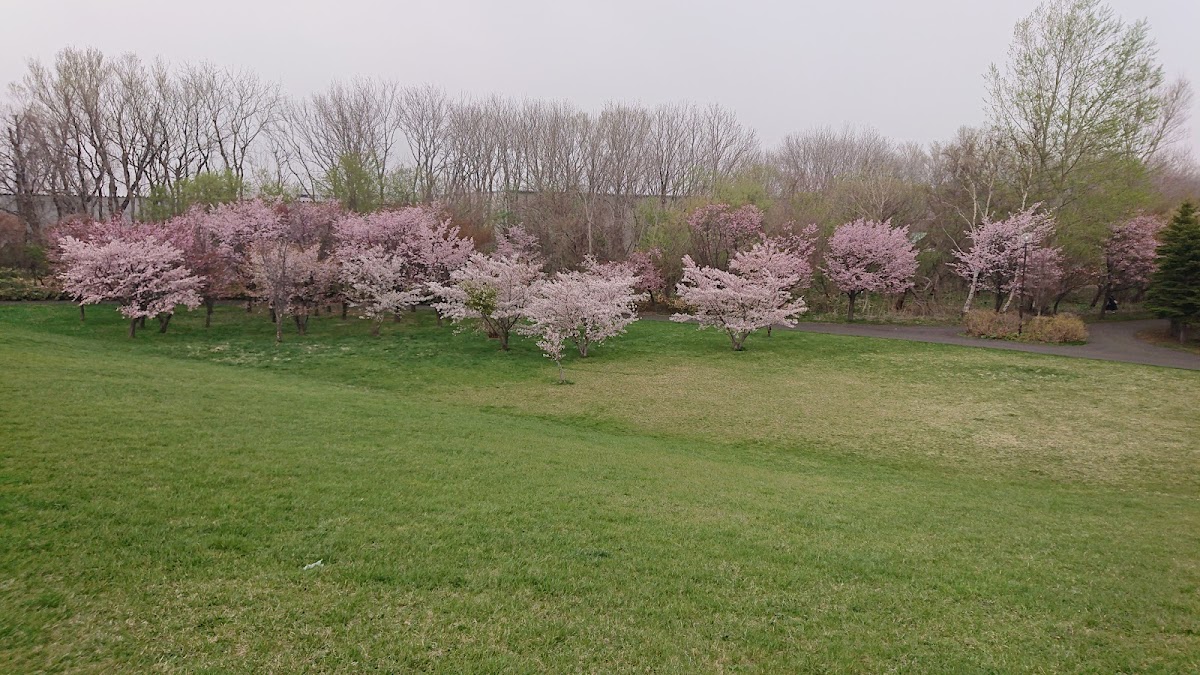 樽川公園の実際の写真