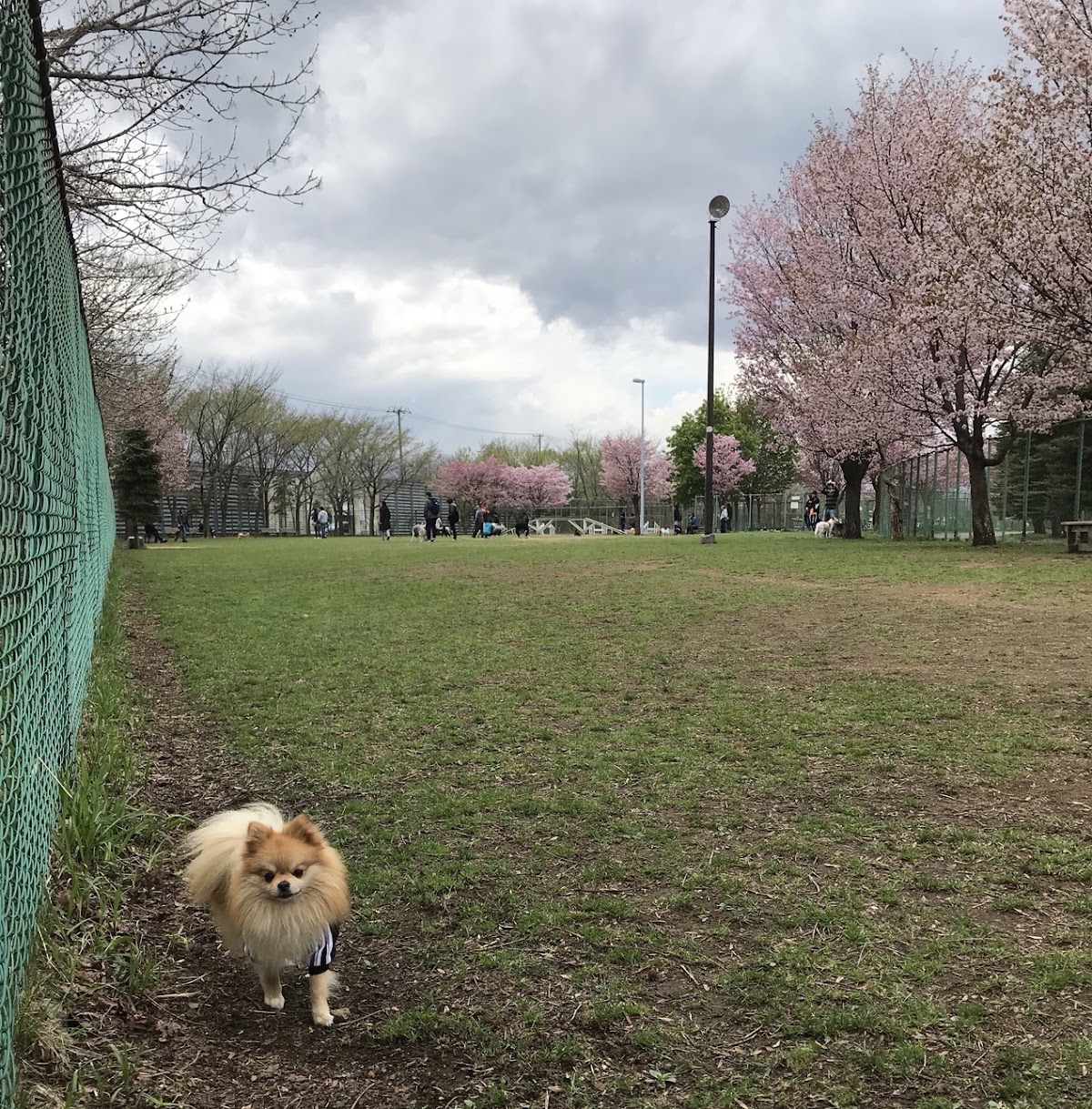 樽川公園の実際の写真