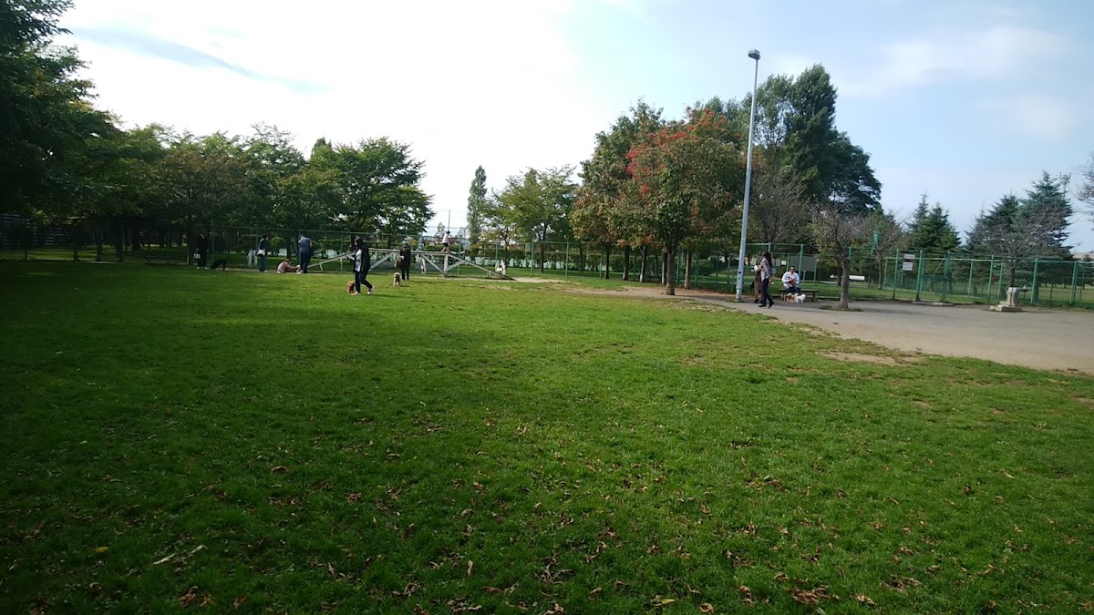 樽川公園の実際の写真