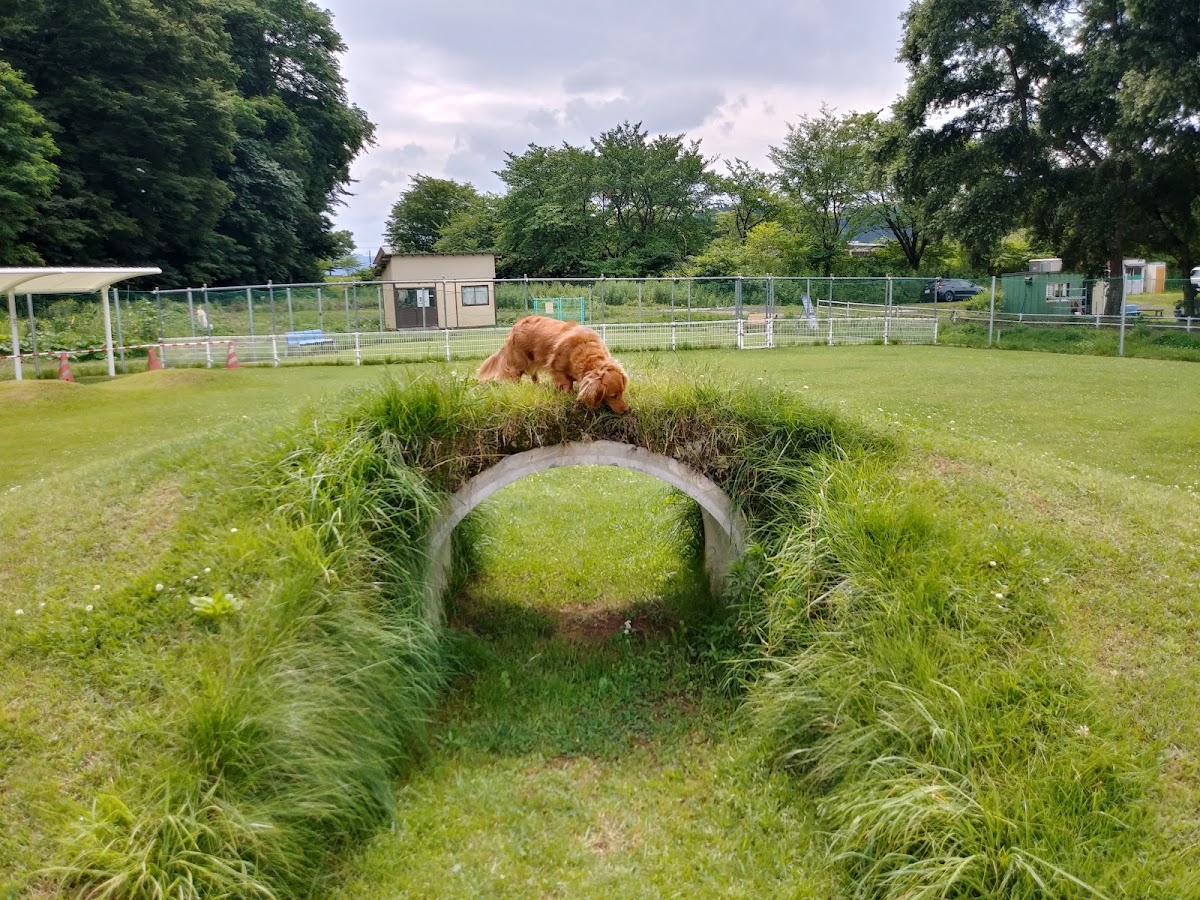 犬都記念公園ドッグランの実際の写真
