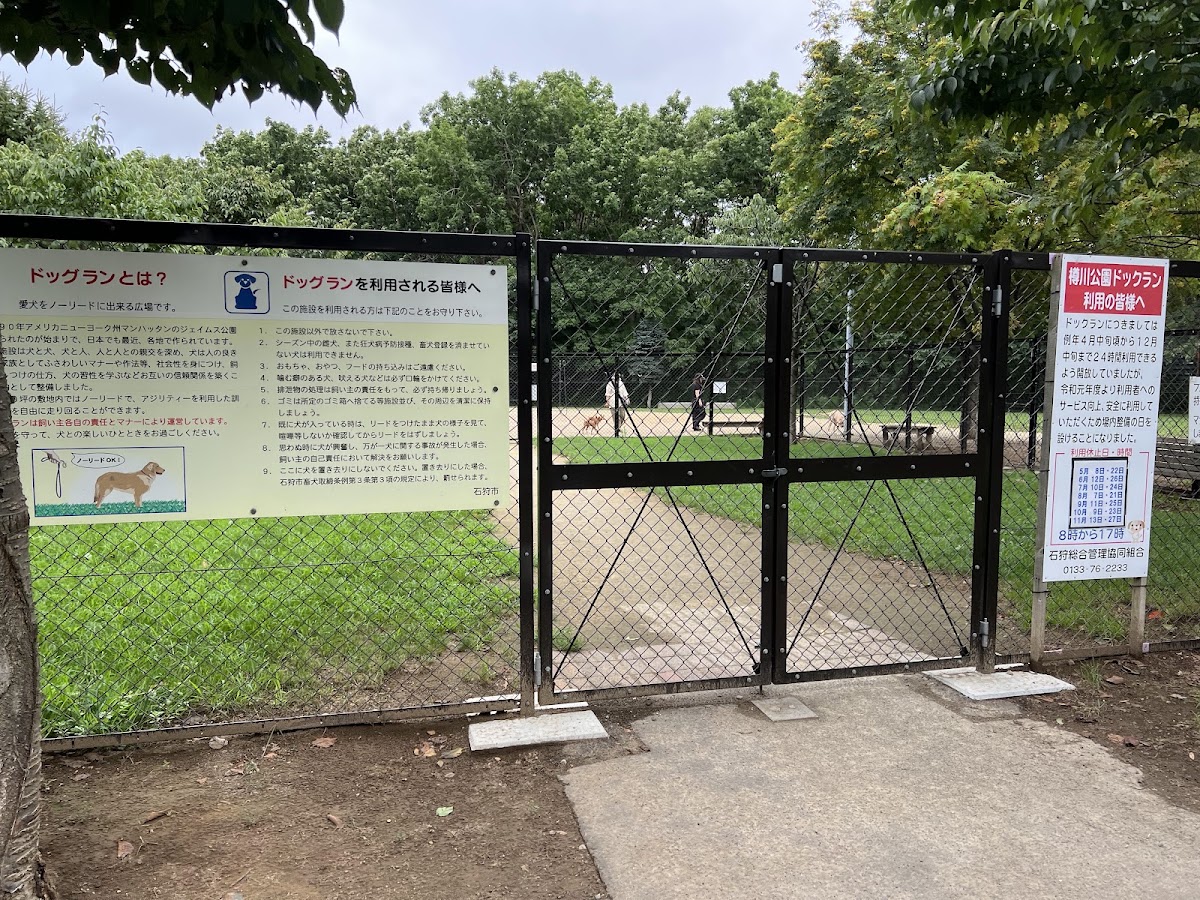 樽川公園 ドッグラン