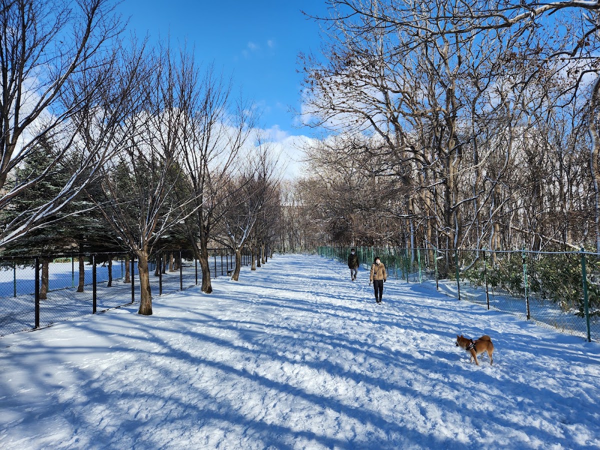 樽川公園 ドッグランの実際の写真