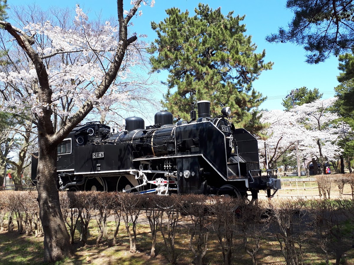 合浦公園の実際の写真