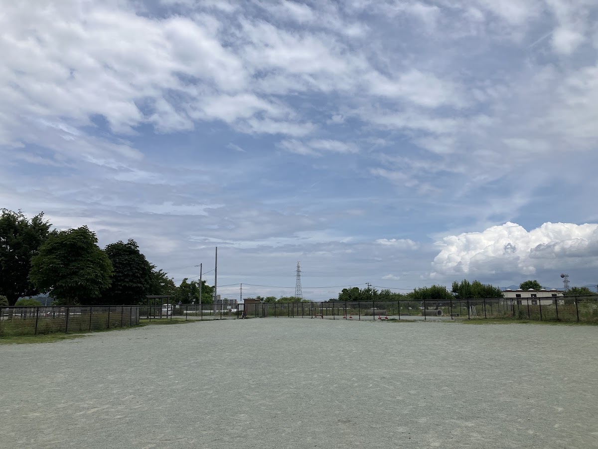 最上川ふるさと総合公園 ドッグランの実際の写真