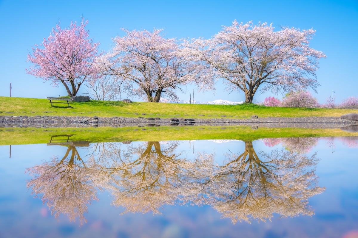 和賀川ふれあい広場の実際の写真