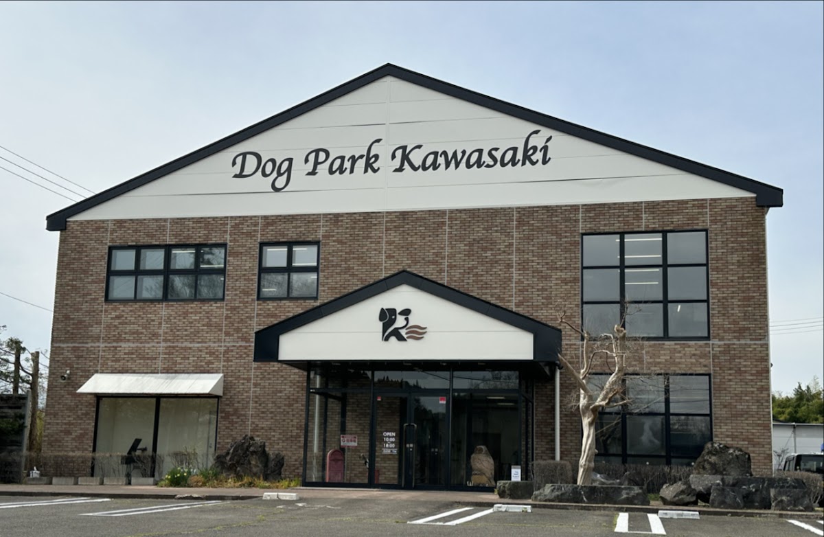 ドッグパーク川崎の実際の写真