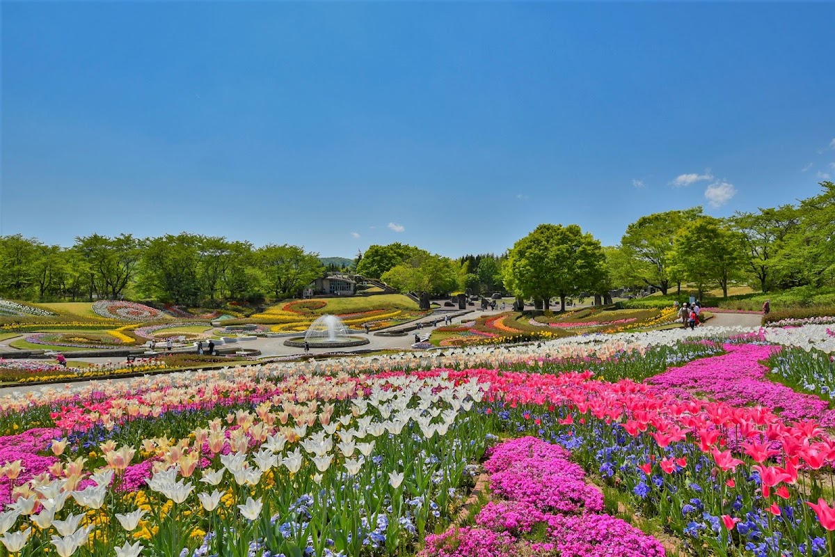 国営みちのく杜の湖畔公園