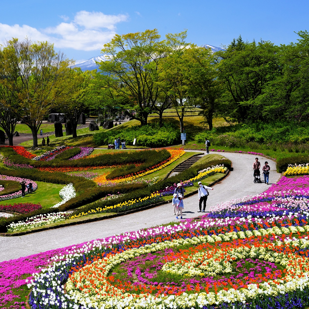 国営みちのく杜の湖畔公園の実際の写真