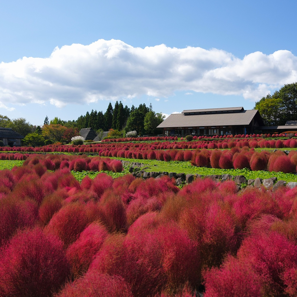 国営みちのく杜の湖畔公園の実際の写真