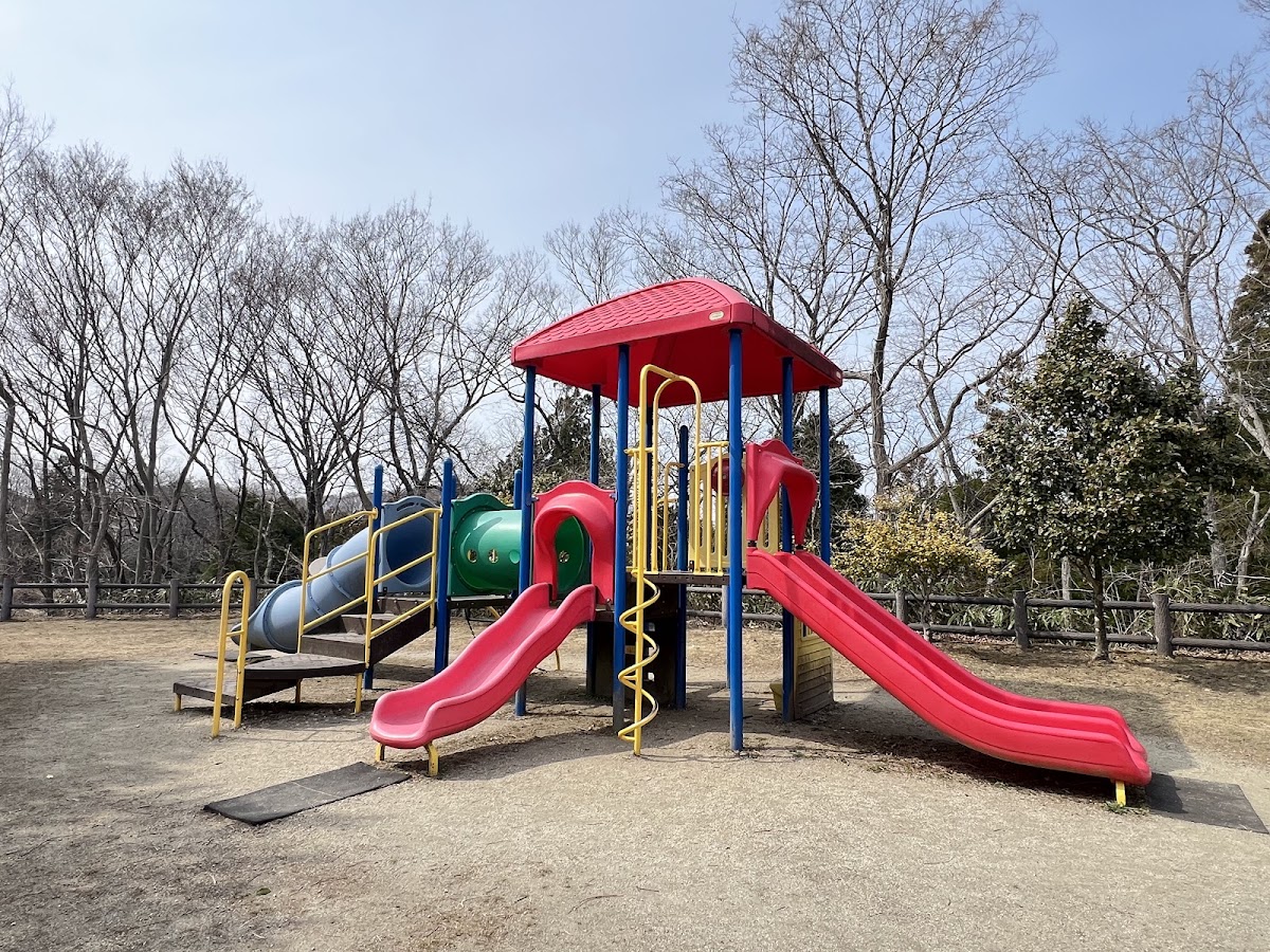 海の見える丘公園の実際の写真