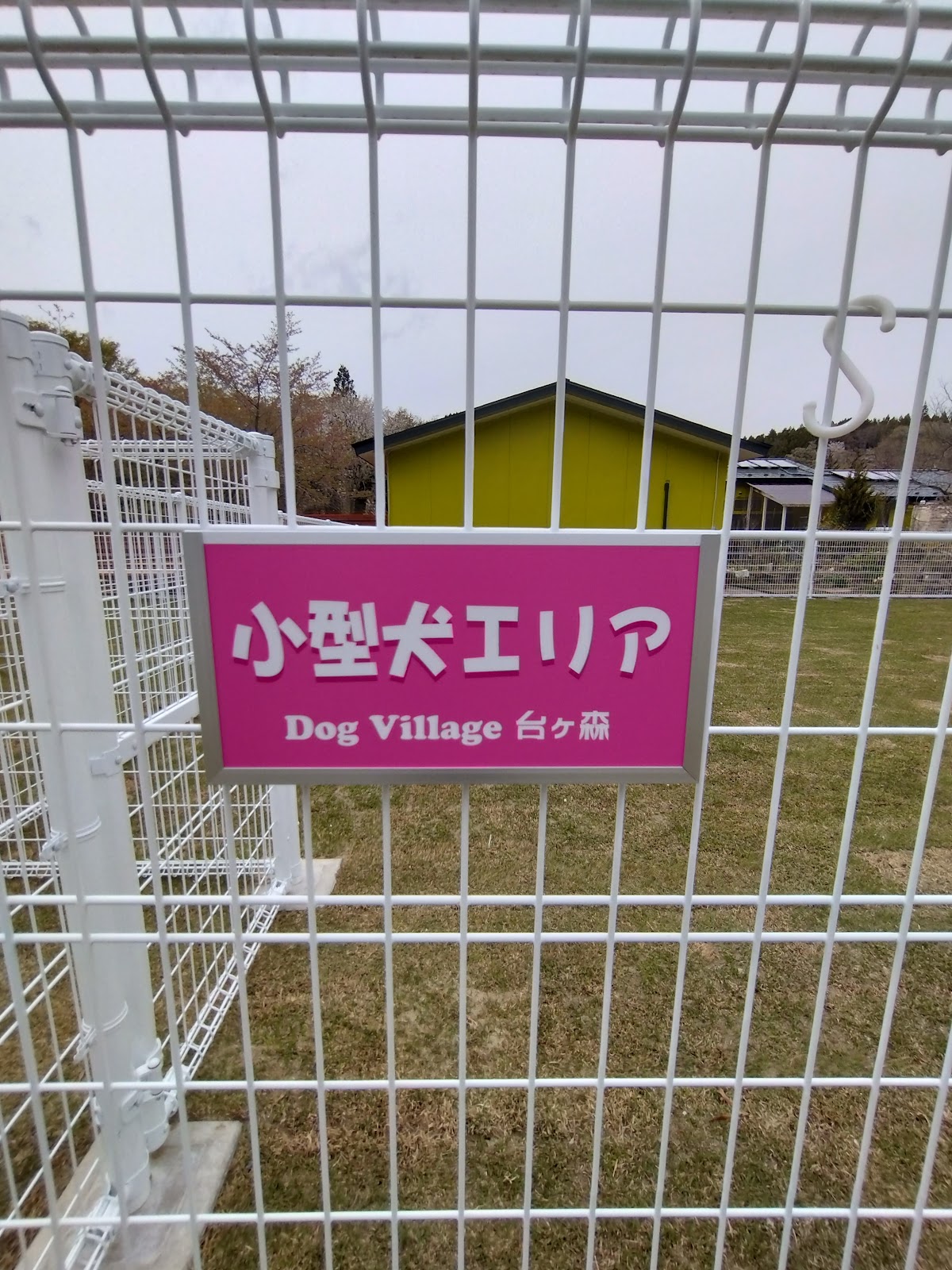 Dog Village台ヶ森