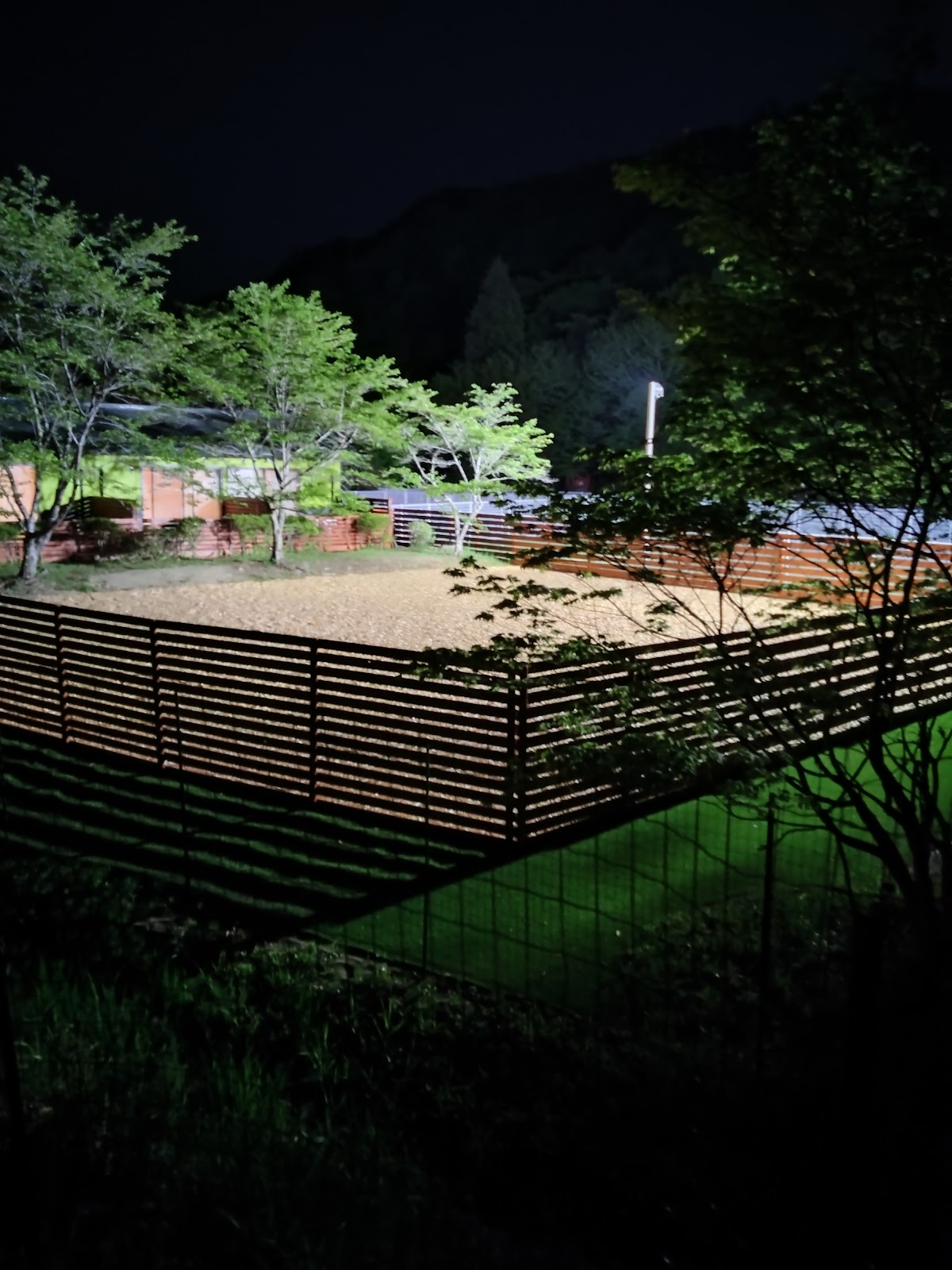 Dog Village台ヶ森の実際の写真