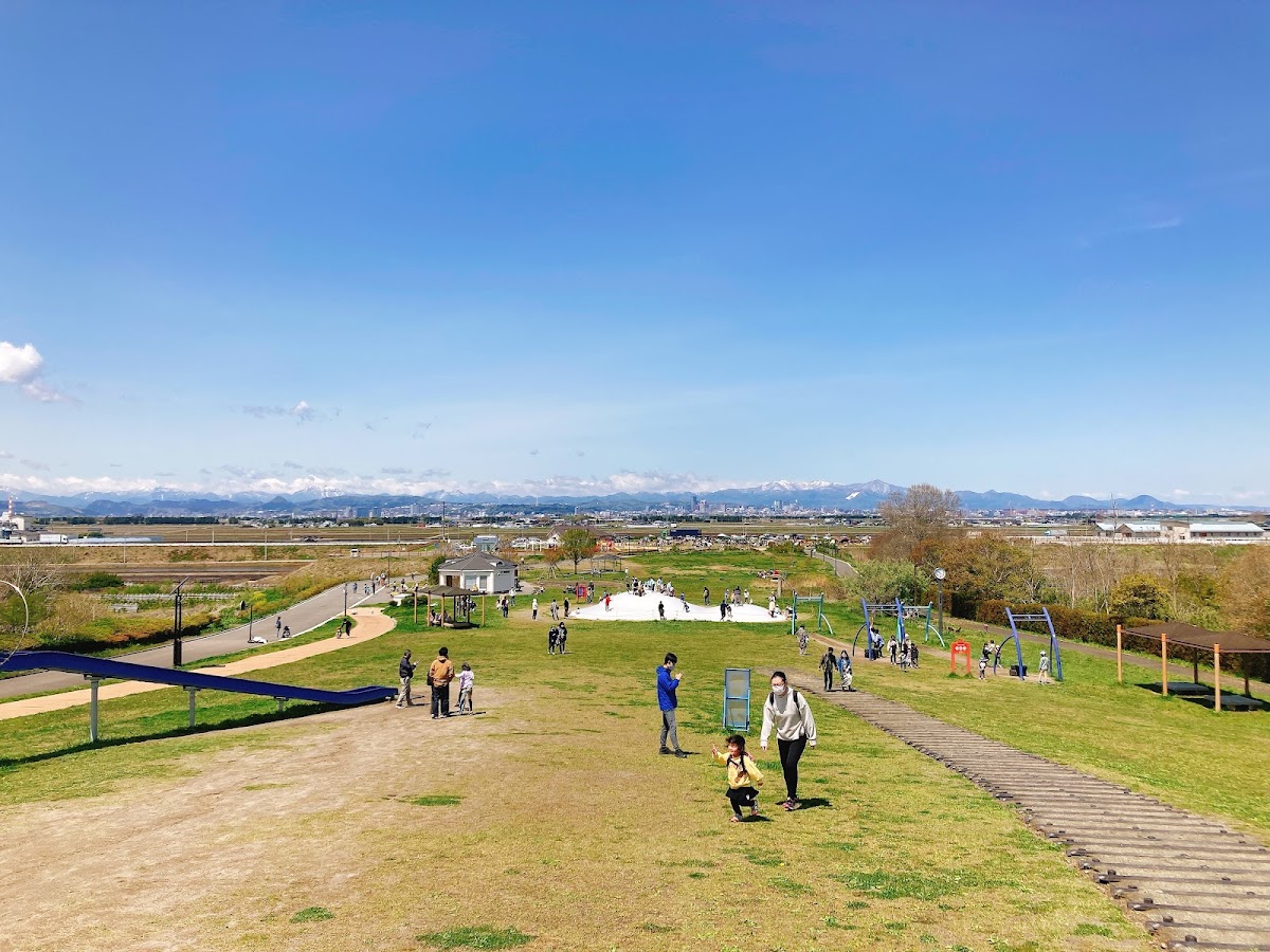 海岸公園冒険広場の実際の写真