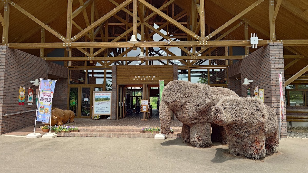 北欧の杜公園の実際の写真
