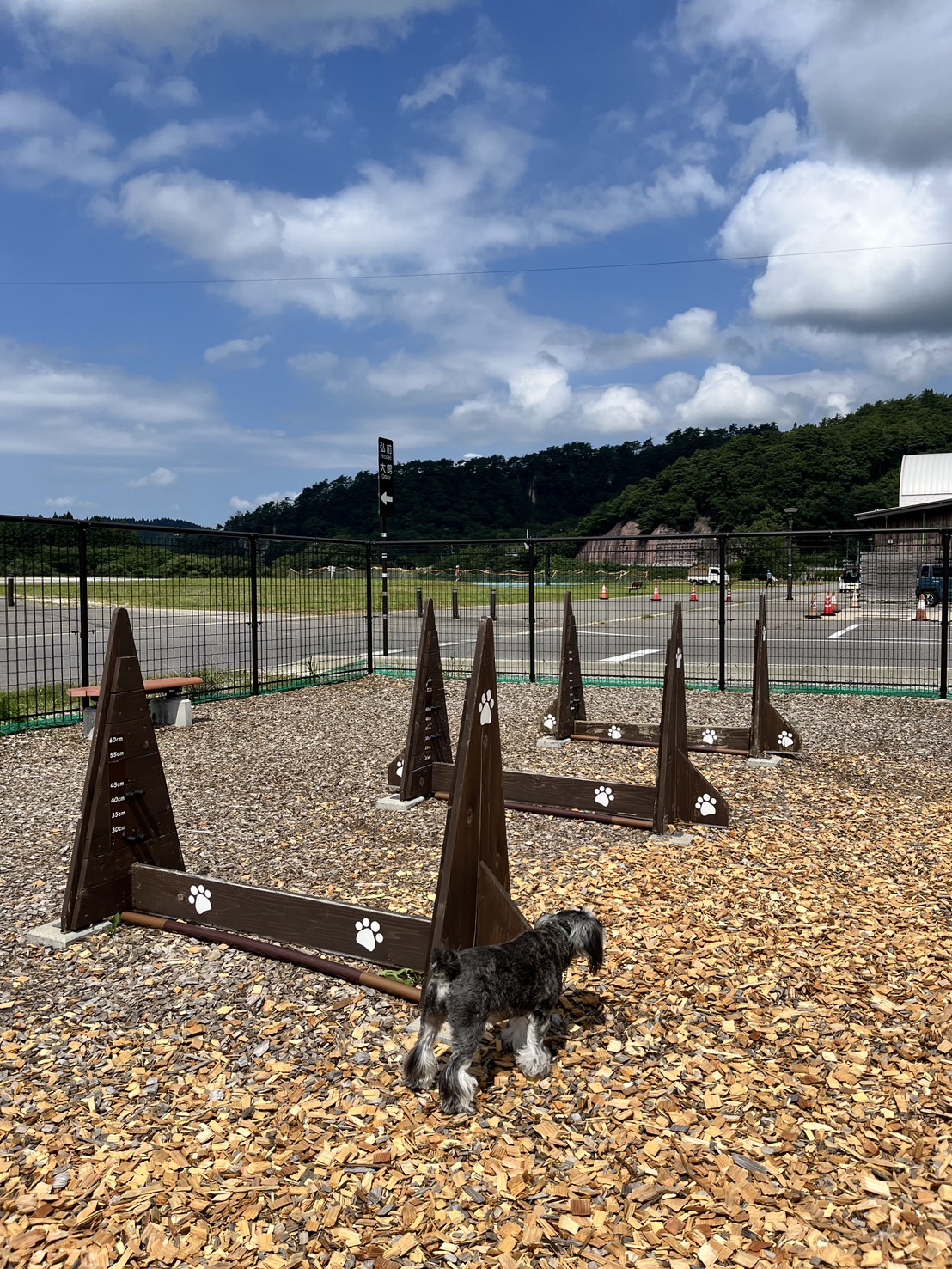 道の駅 ふたつい きみまちの里 ドッグランの実際の写真
