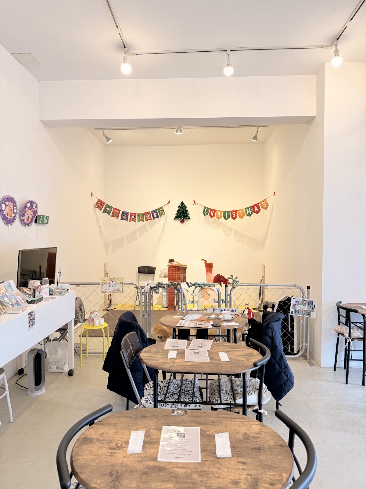 秋田犬café / Akita Dog café