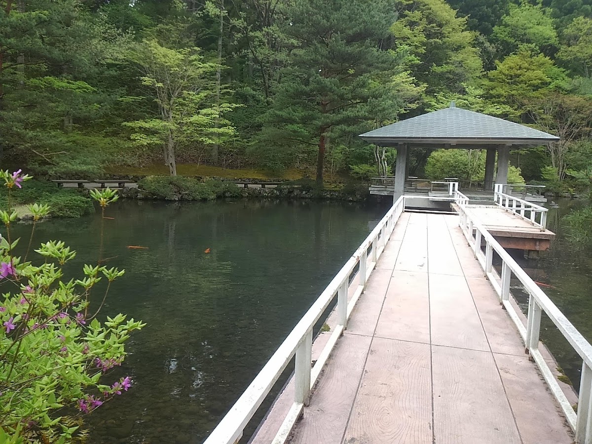秋田県立小泉潟公園の実際の写真