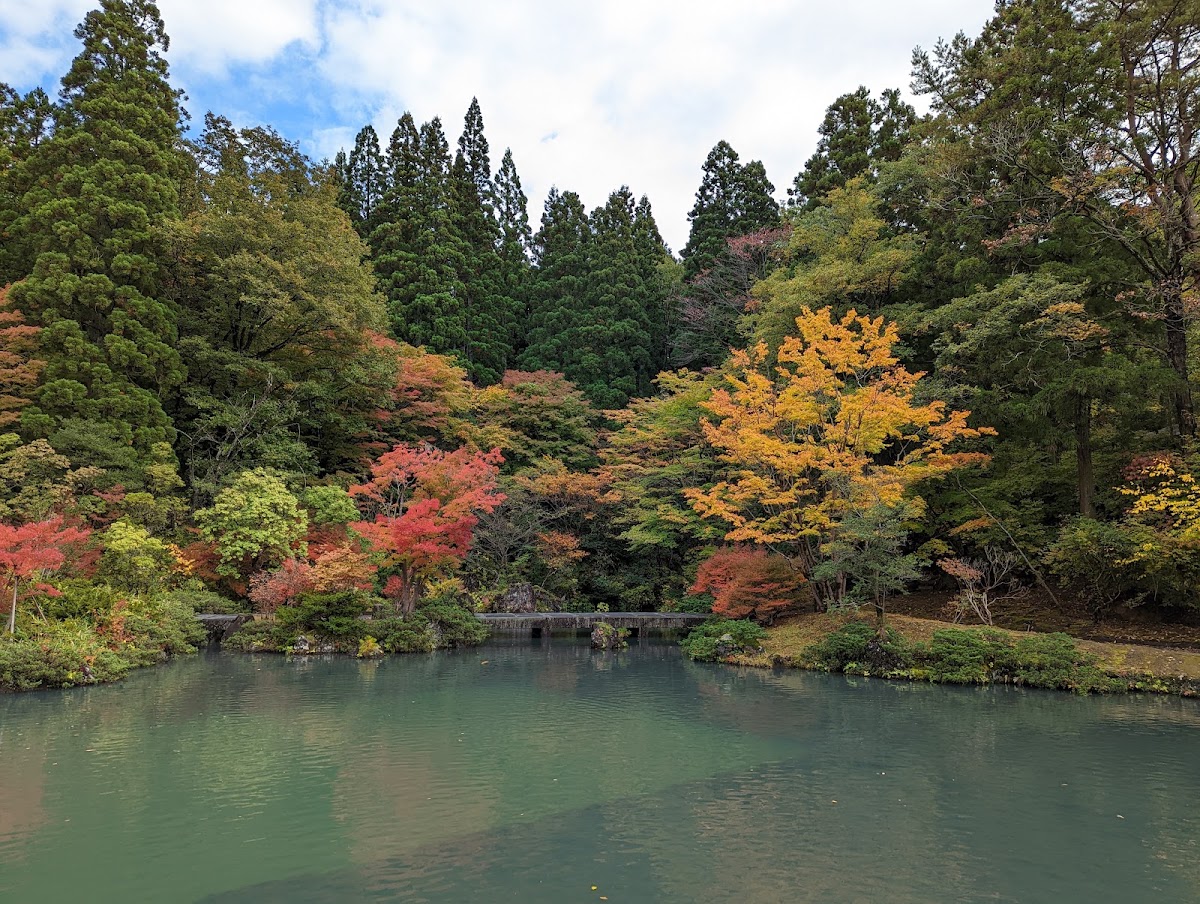 秋田県立小泉潟公園の実際の写真