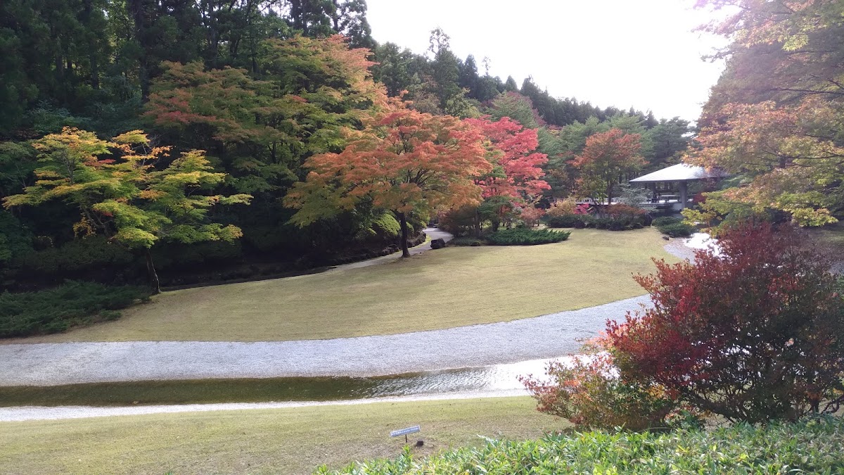 秋田県立小泉潟公園の実際の写真