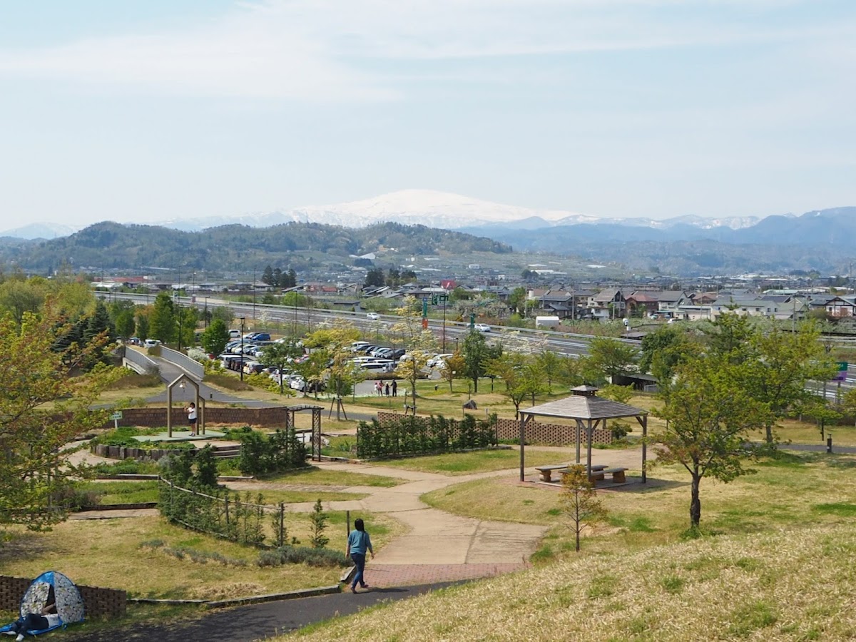 最上川ふるさと総合公園の実際の写真
