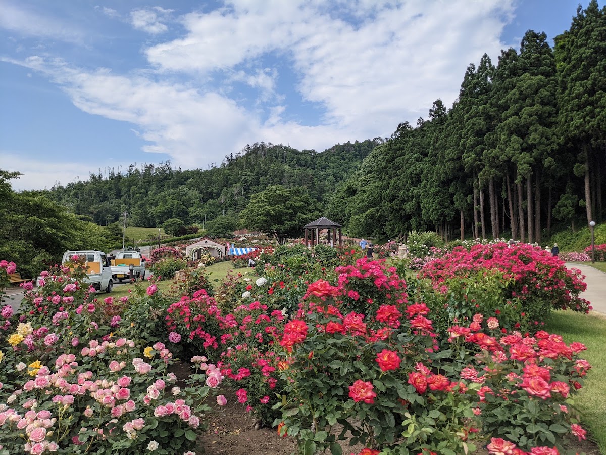 東沢バラ公園