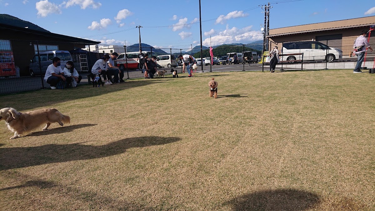 ドックラン（道の駅 ふくしま）の実際の写真