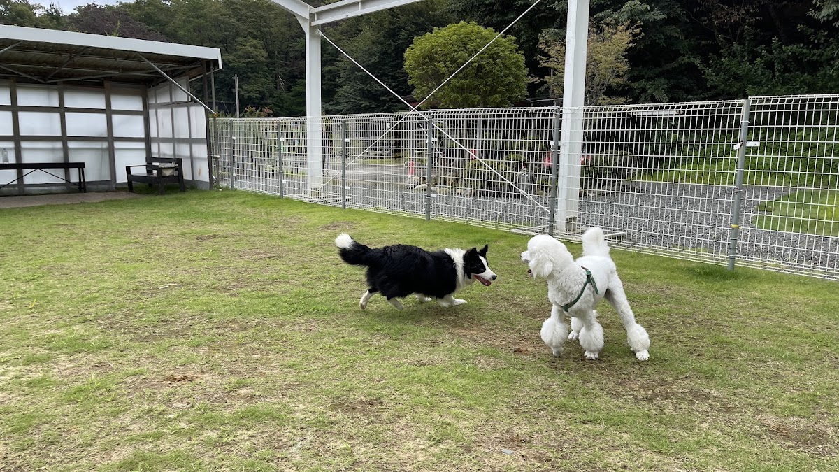 あすか芽吹きの森の実際の写真