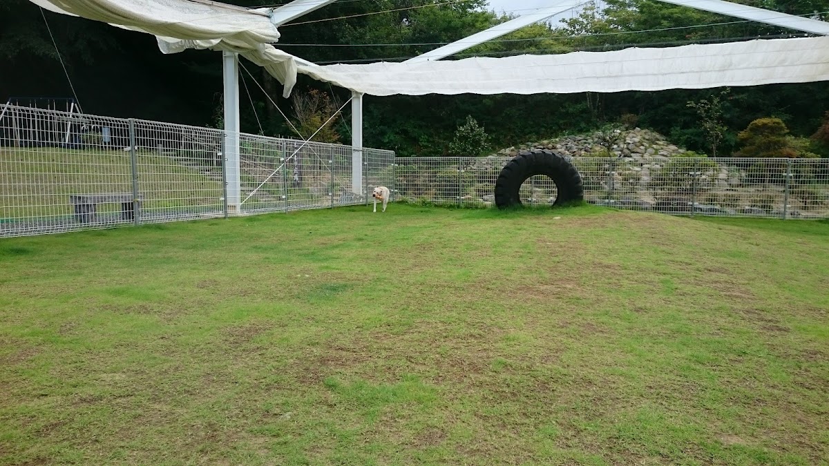 あすか芽吹きの森の実際の写真