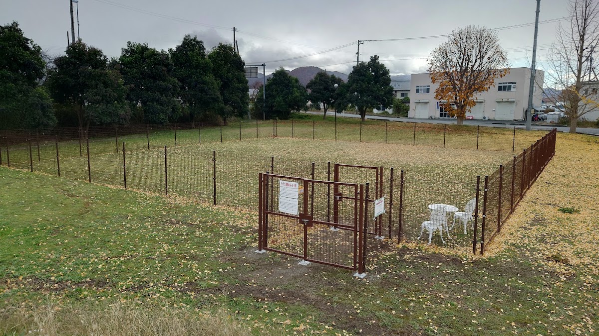 卸売市場西緑地 ドッグランの実際の写真