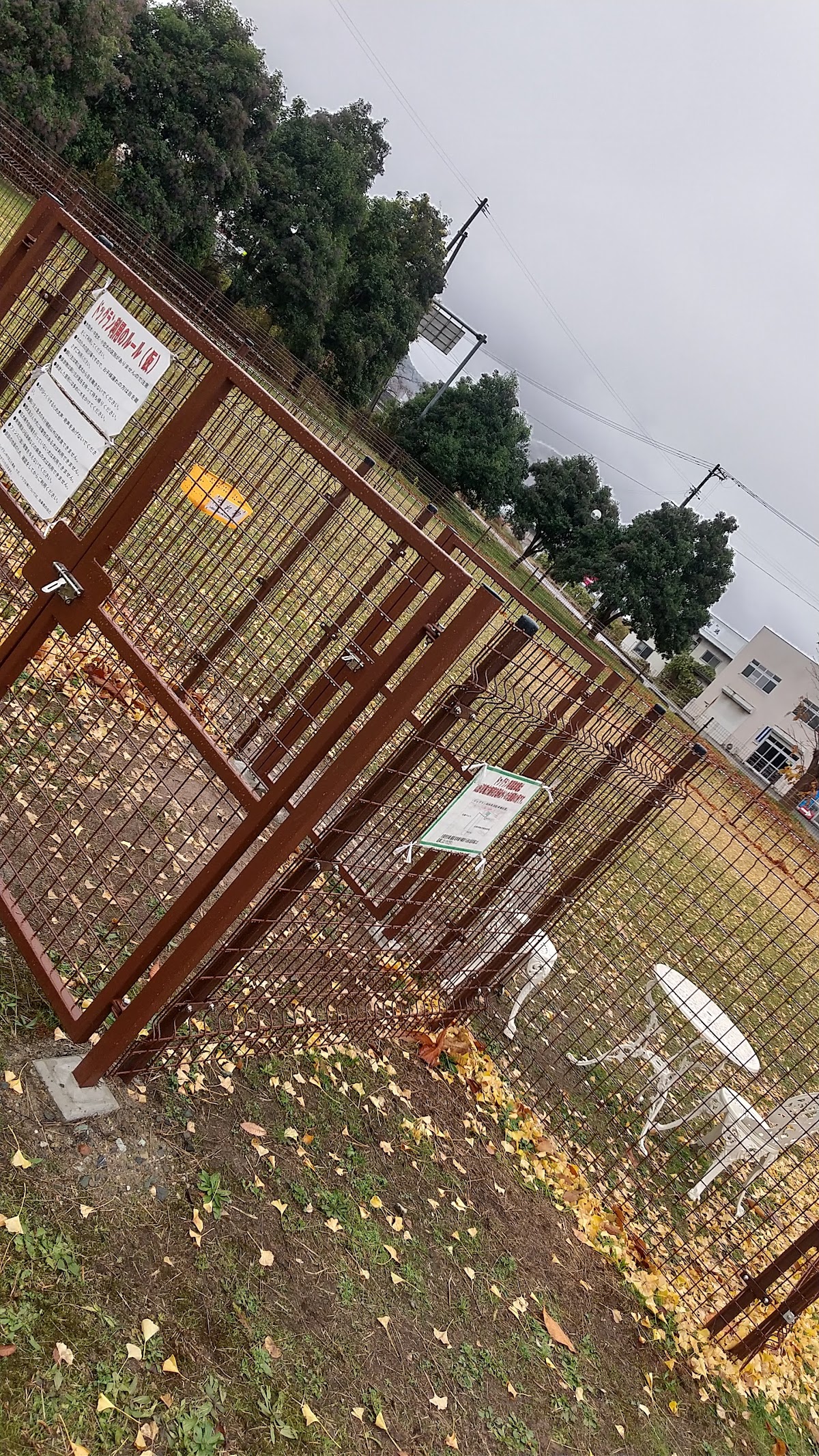 卸売市場西緑地 ドッグランの実際の写真