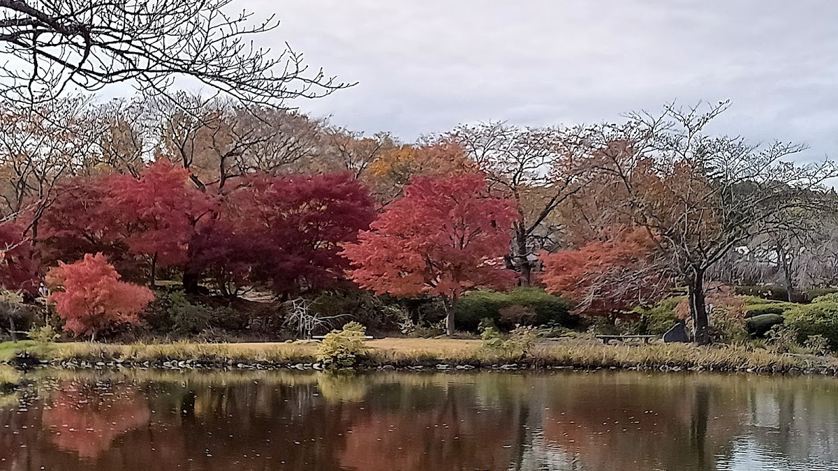 四季の里 緑水苑の実際の写真