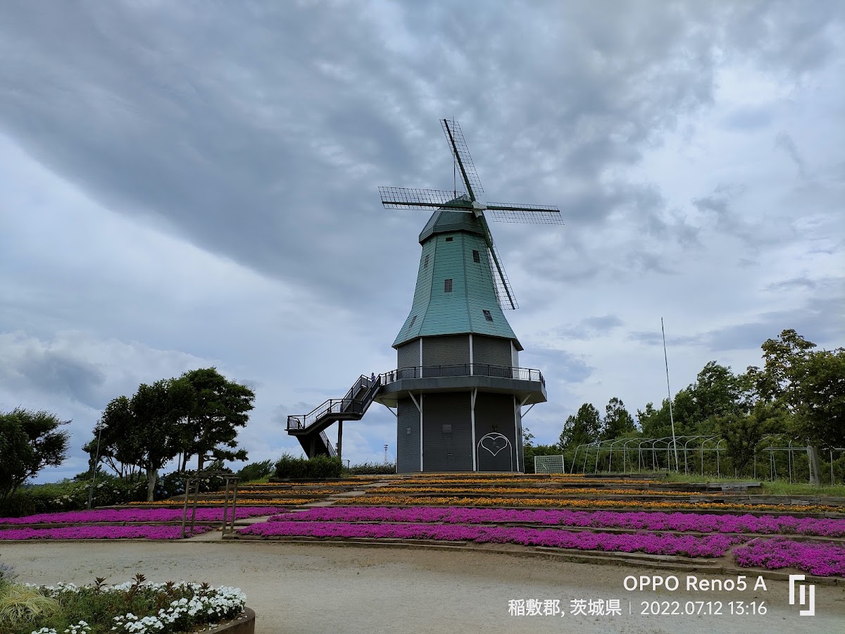 霞ヶ浦総合公園