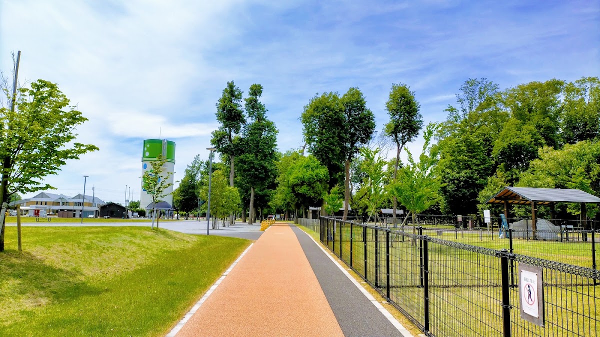 三王山ふれあい公園の実際の写真