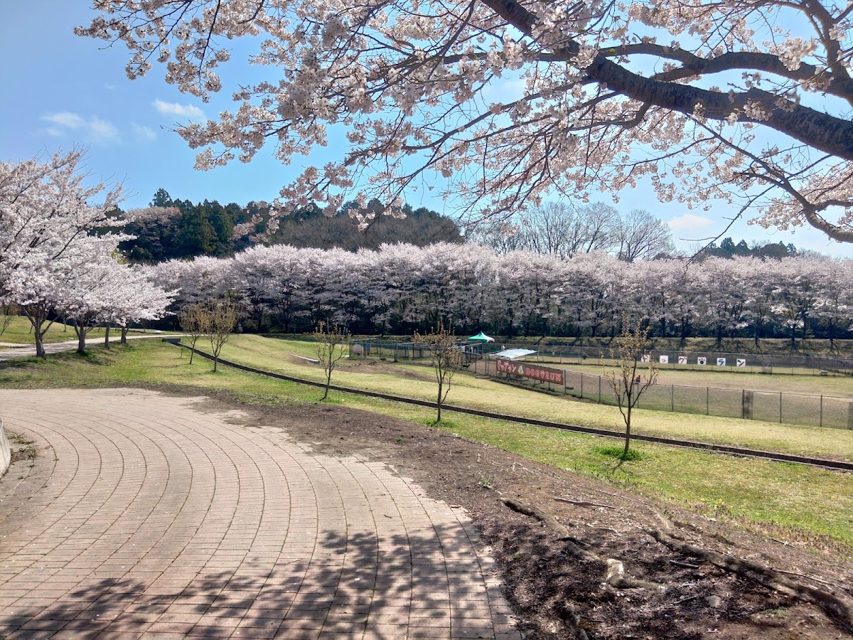 ドッグラン (道の駅 うつのみや ろまんちっく村)の実際の写真