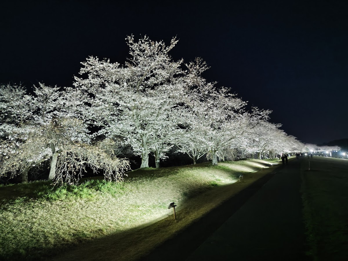 氏家ゆうゆうパークの実際の写真